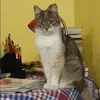 Отзыв от Карина Носкова